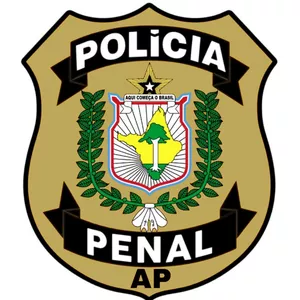 Imagem de capa para o Curso online Polícia Penal do Amapá