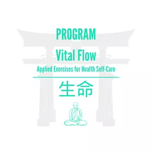 Cover image for Online course Program - Vital Flow - Applied Exercises for Health Self-Care