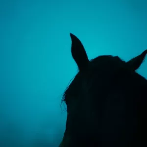 Imagen de portada para Ebook punta rota" para cuando la lluvia toque el techo de tu casa en las noches 