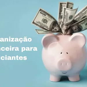 Imagem de capa para o Curso online Organização Financeira para Iniciantes
