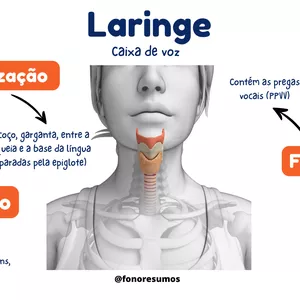 Imagem de capa para o Ebook LARINGE - MAPA MENTAL
