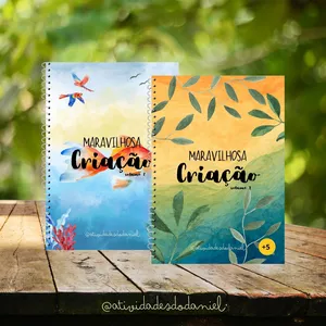 Imagem de capa para o Ebook COMBO MARAVILHOSA CRIAÇÃO 1 E 2
