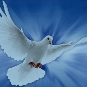 Imagem de capa para o Ebook O Espírito Santo E O Seu Ministério