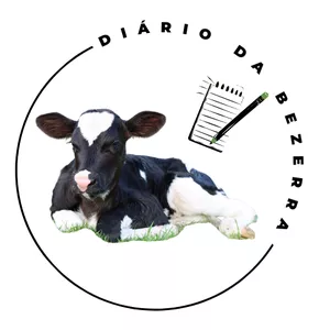 Imagem do curso Diário da Bezerra