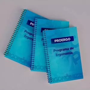 Imagem de capa para o Ebook Modelo de PROERGO - Programa de Ergonomia