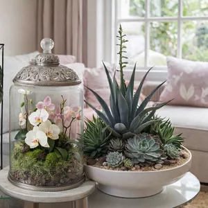 Imagem do curso Curso online 3 em 1 - kokedamas, arranjos de suculentas e terrários.