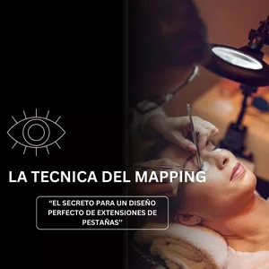 Imagen de portada para Ebook LA TÉCNICA DEL MAPPING