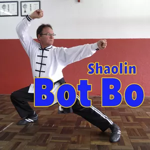 Imagem de capa para o Curso online Kung Fu e Defesa Pessoal | 6º kati - BOT BO - "Arrancada de Passos"