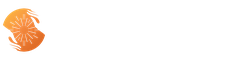 Steve Andrews' & Associates School