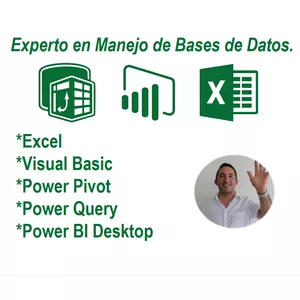 Imagen principal del producto Experto en Manejo de Bases de Datos.