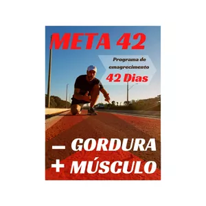Imagem de capa para o Curso online META 42  
