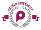Piccolo University