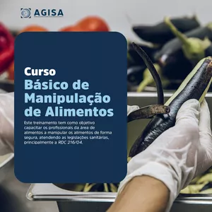 Curso Curso Básico de Manipulação de Alimentos - RDC 216/04 
