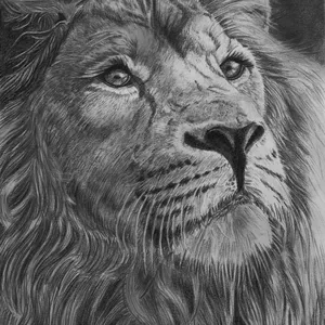 Imagen de portada para Curso online Dibujo a lápiz (principiante)  