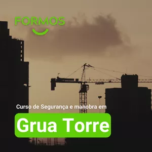 Imagem de capa para o Curso online Grua Torre Curso de Segurança e Manobra 