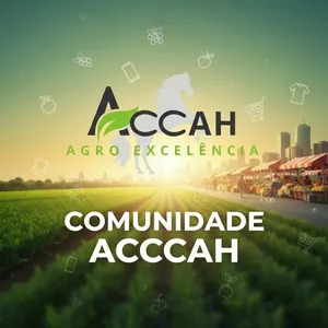 Imagem de capa para o Curso online Comunidade ACCAH