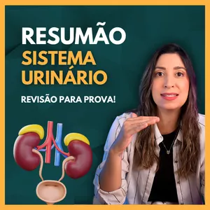 Imagem de capa para o Ebook Apostila RESUMÃO SISTEMA URINÁRIO. Material de Apoio aulas Youtube.