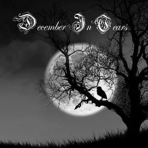 Imagem de capa para o Curso online  December In Tears