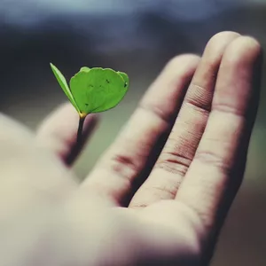 Imagen de portada para Ebook Crecimiento Personal: Aumenta Tu Potencial y Supera Obstáculos