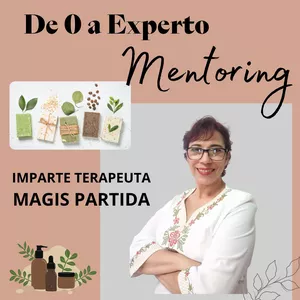 Imagen de portada para Curso online De 0 a Experto en 90 Días "Mentoring"