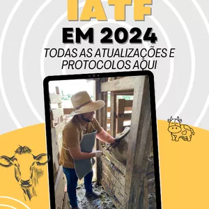 Imagem de capa para o Ebook IATF 100% 2024