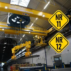 Imagem de capa para o Curso online Curso de Operador de Ponte Rolante