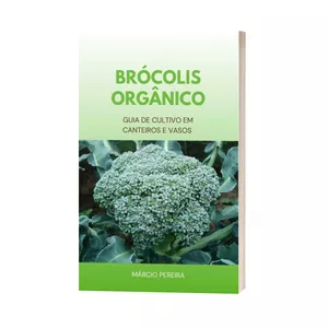 Imagem de capa para o Ebook Brócolis Orgânico