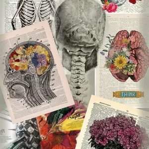 Imagem de capa para o Curso online Simplifiquei a anatomia pra você