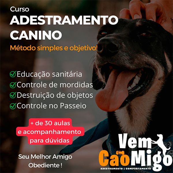 Imagem de Curso de adestramento Vem CÃOmigo criado por Mauro valarini na hotmart