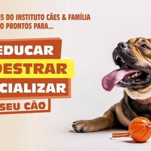 Imagem de capa para o Ebook Treinamento Simplificado Para Cães
