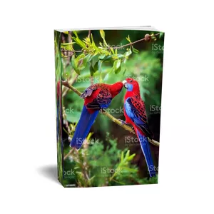 Imagem de capa para o Ebook Como Cuidar do seu Pássaro Rosela