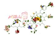 H.E.R.B.A.L. logo