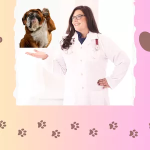 Imagem de capa para o Curso online PREVENÇÃO PETSHOP