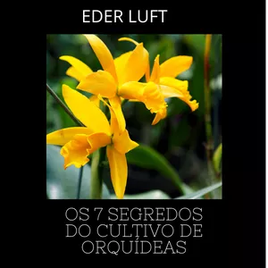 Imagem de capa para o Ebook 7 PASSOS PARA O CULTIVO DE ORQUIDEAS
