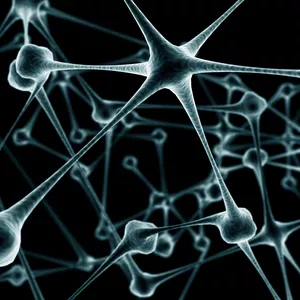 Imagem de capa para o Curso online CÓDIGO28: DESAFIO 28 DIAS CÉREBRO SEM ALZHEIMER - DE R$ 697,00 POR R$ 98,00