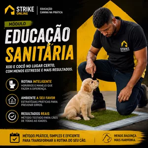 Imagem do curso Educação Sanitária 