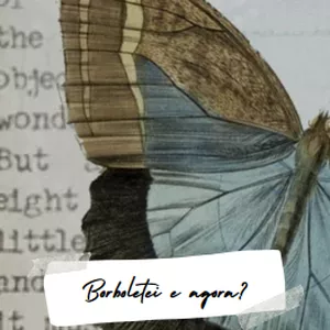 Imagem de capa para o Ebook Borboletei - Pós Bariátrica