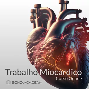 Imagem de capa para o Curso online Curso de Trabalho Miocárdico (Myocardial Work)
