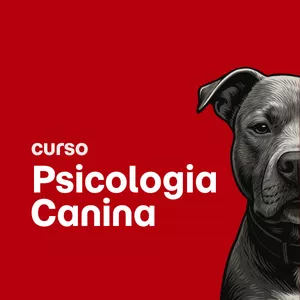 Imagem de capa para o Ebook Ebook Evoludog Psicologia Canina