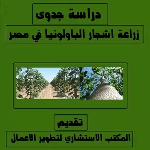 Imagem principal do produto دراسة جدوى زراعة وإنتاج الأخشاب من أشجار الباولونيا بمساحة 100 فدان في مصر