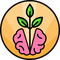 to grow online