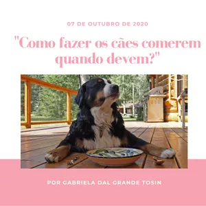 Imagem de capa para o Ebook Como fazer os cães comerem quando devem?