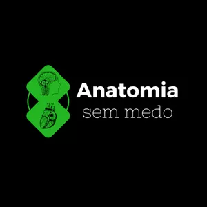 Imagem de capa para o Curso online Anatomia sem medo