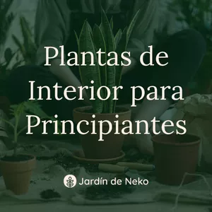 Imagen de portada para Ebook PLANTAS DE INTERIOR PARA PRINCIPIANTES