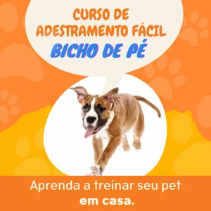 Imagem de capa para o Ebook Bicho de Pé Curso de Adestramento Fácil de Cães