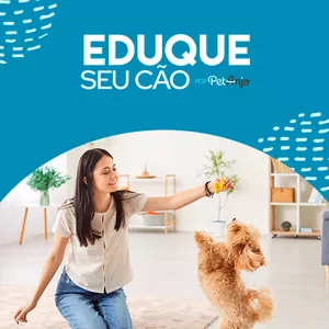 Imagem de capa para o Curso online Curso Eduque seu Cão - Completo