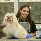 Groomer Juliana Galter