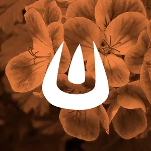 Imagem de capa para o Curso online Aula da Gerânio com Palmira Margarida