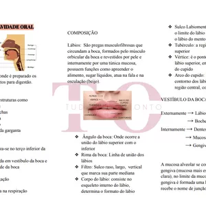 Imagem de capa para o Ebook Resumo cavidade bucal - Anatomia