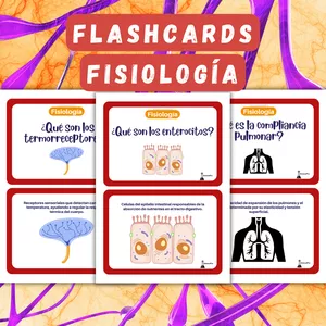 Imagen de portada para Curso online FLASHCARDS FISIOLOGÍA